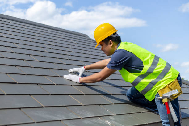 Best Roof Gutter Cleaning  in East Sparta, OH